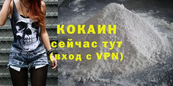 стаф Медногорск